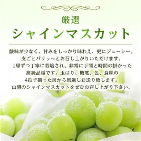 2026年発送　シャインマスカット1房(約500g)【配送不可地域：離島・沖縄県】【1666979】