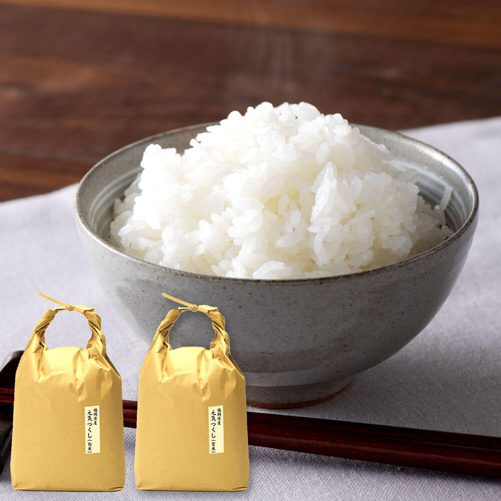 【ふるさと納税】＜選べる 白米 玄米＞ 【令和6年産】福岡県産 【特A】評価のお米「元気つくし」 合計10kg 5kg×2袋 米 ご飯 お米 九州産 国産 送料無料