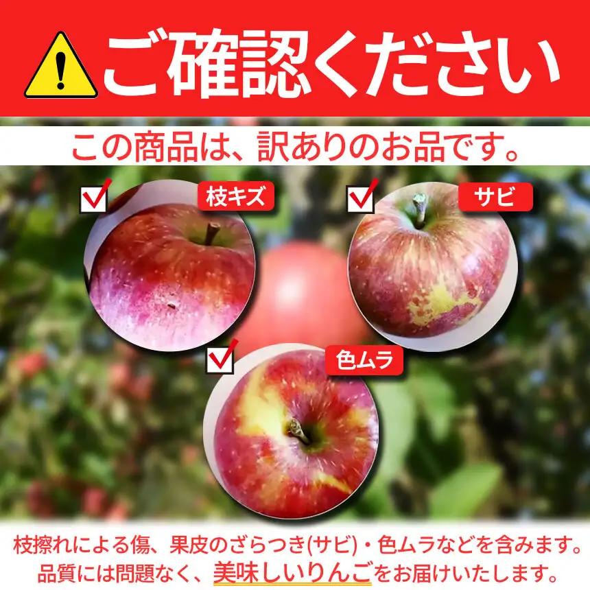 【訳あり】 季節のりんご 約3kg ［新規就農者応援コース 幸作会］ 果物 フルーツ りんご 林檎 リンゴ 長野県産 信州産  令和8年産【2026年9月下旬～12月下旬発送】 ［KH-51］