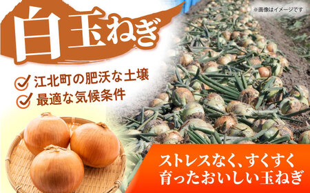 【先行予約】 玉ねぎ 10kg 【吉祥】[HDG004]