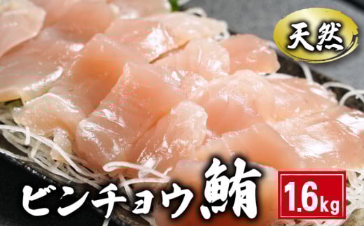 天然 ビンチョウまぐろ切身 1.6kg 160×10パック まぐろ 鮪 刺身 赤身 肉 ビンチョウマグロ ビンチョウ ネギトロ マグロ漬け 海鮮丼 丼 寿司 鉄火丼 手巻き寿司 魚 海鮮 魚介 おつまみ おかず 冷凍 小分け 個包装 お取り寄せ 国産 千葉県 銚子市 和田水産