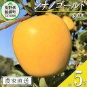 【ふるさと納税】 りんご シナノゴールド 家庭用 5kg ファームトヤ 沖縄県への配送不可 令和6年度収穫分 長野県 飯綱町 〔 信州 果物 フルーツ リンゴ 林檎 長野 13000円 予約 農家直送 〕発送時期：2024年11月中旬～2024年12月下旬 {**}