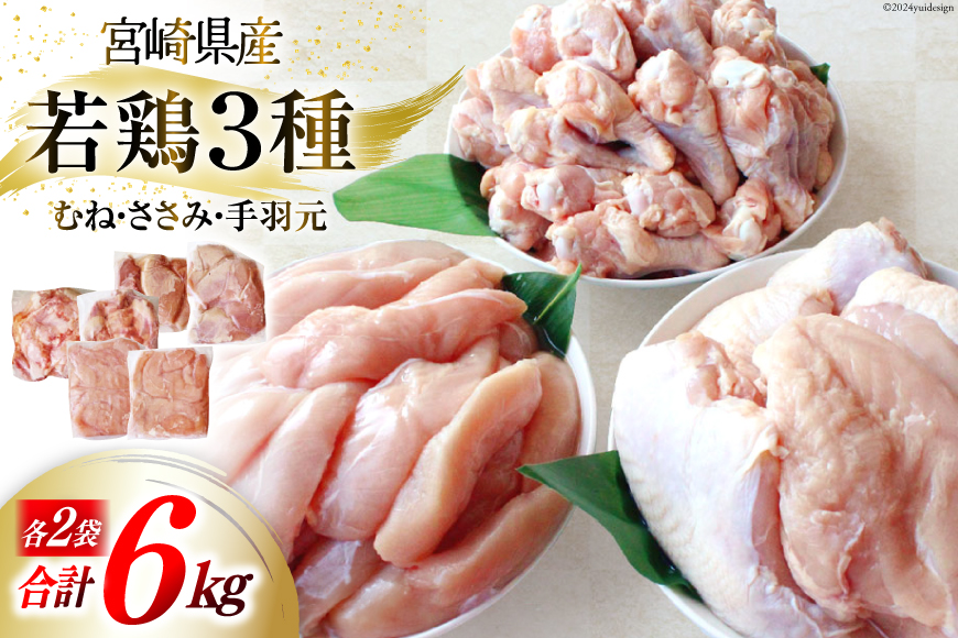 鶏肉 詰め合わせ 宮崎県産 若鶏 むね肉 ささみ 手羽元 セット 各1kg 2p 計6kg [九州児湯フーズ 宮崎県 美郷町 31ai0011] 小分け むね 鶏むね肉 鶏むね 手羽 ササミ 冷凍 真空パック