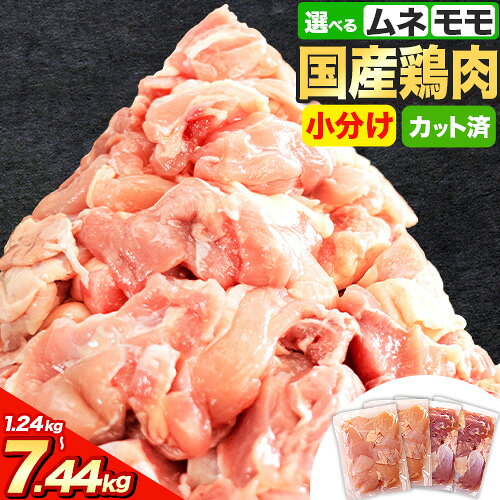【ふるさと納税】＼楽天限定／鶏肉 小分け もも肉 or むね肉 or ハーフセット 選べる カット 若鶏1.24kg〜7.44kg《出荷時期をお選びください》定期 便 隔月 肉 鶏肉 鶏 鶏モモ 鶏ムネとり肉 訳あり 冷凍 解凍 もも肉 簡易包装 便利 フェスタ マラソン