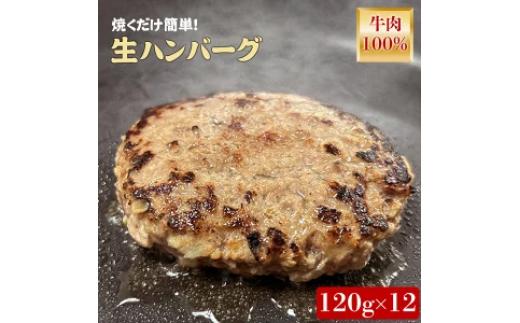 オリーブ牛100%ハンバーグ120g×12