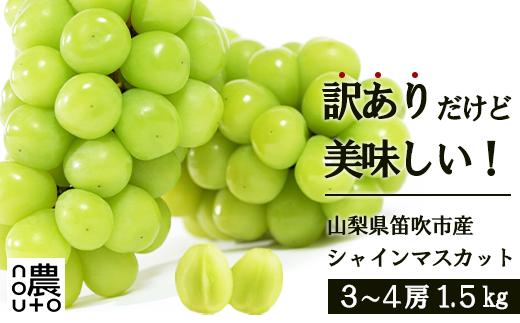 ＜25年発送先行予約＞訳あり　シャインマスカット1.5㎏ 154-044