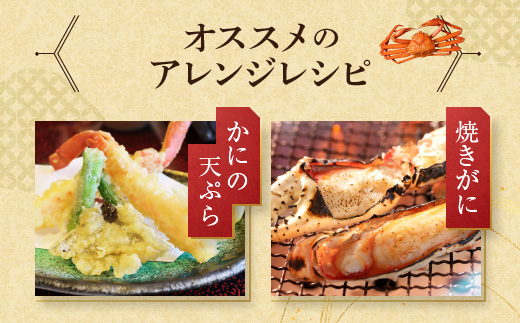カット済 生本ずわい蟹 棒肉ポーション 500g ＜ 生食OK ＞ ＜ 殻剥き不要 ＞ ＜ 数量限定 > 生ずわいがに 本ずわいがに かに 蟹 ずわいがに ずわい蟹 生冷ずわい蟹 生ずわい ずわい 棒