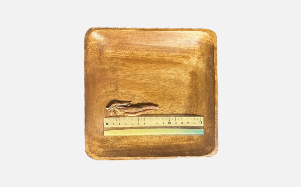 無限手羽先 100g×3