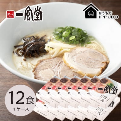 
博多一風堂 豚骨ラーメン 白丸1食×12箱 とんこつ博多細麺【1558469】
