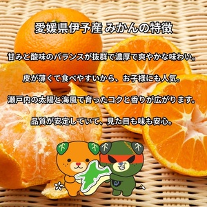 訳あり 伊予のみかん 約2kg サイズミックス ランダム 【2025年11月下旬から順次発送予定】 みかん 愛媛県産 数量限定 先行予約 柑橘 伊予市|A121
