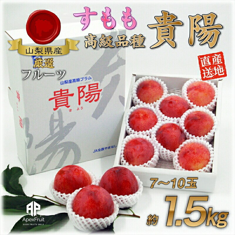 【ふるさと納税】 【25年発送先行予約】厳選！南アルプス市産『貴陽』　中玉約1.5kg（7〜10玉） ふるさと納税 おすすめ 山梨県 南アルプス市 送料無料 ALPDD013