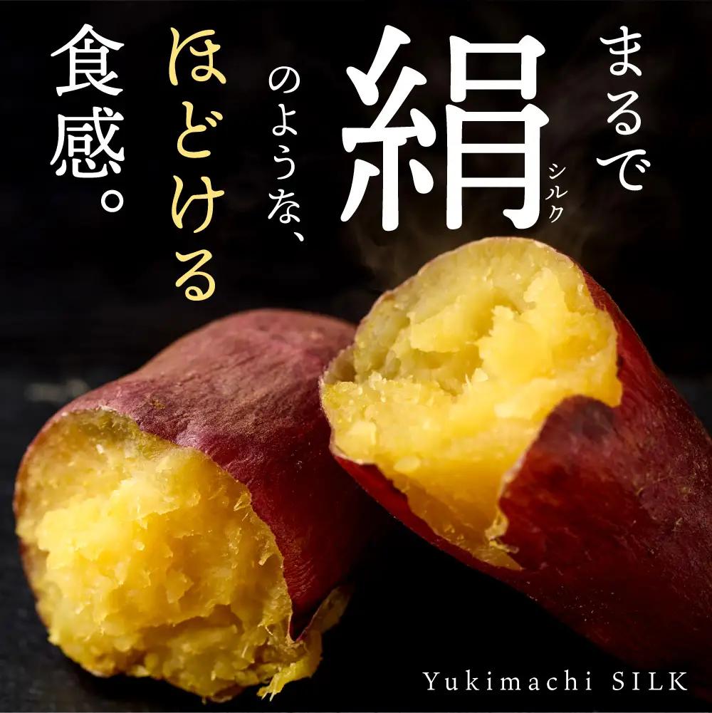 【先行予約】ゆきまちシルク 5kg（11月発送） | シルクスイート さつまいも 北海道 石狩市