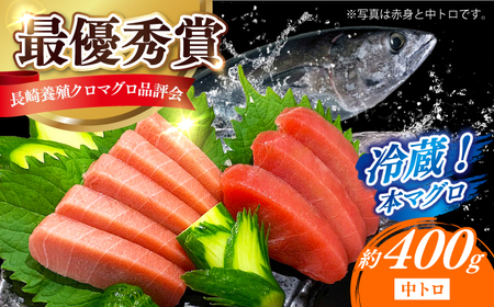 冷蔵！生本マグロ 中トロ 計約400g マグロ まぐろ 鮪 刺身 五島列島産養殖 [RBN016] 本マグロ 本まぐろ 本マグロ 本まぐろ 本マグロ 本まぐろ 本マグロ 本まぐろ九州 長崎
