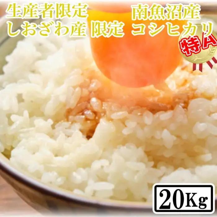 【令和7年産】【精米20kg】しおざわ産限定 生産者限定 南魚沼産コシヒカリ【銘柄米 ブランド米 精米 こしひかり コシヒカリ 魚沼産 新潟米 産地直送 お米 米 こめ コメ ご飯 御飯 ごはん】