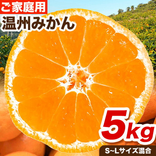【ふるさと納税】ご家庭用 温州みかん 5kg (S〜Lサイズ混合) 和田果樹園【先行予約】《2025年11月上旬-2026年2月上旬頃出荷》 和歌山県 紀の川市 みかん ミカン 果物 フルーツ 温州みかん ご家庭用 送料無料