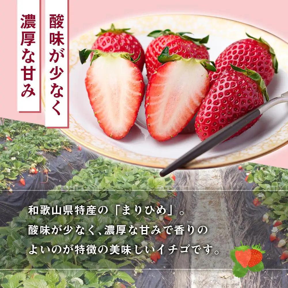 【先行予約】いちご まりひめ 4パック入り いちご