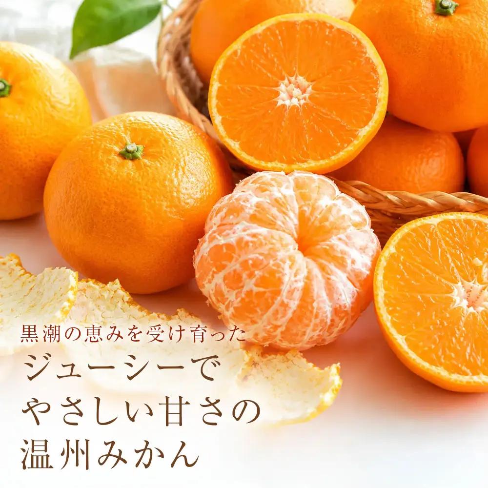 温州みかん 訳あり 1kg 傷み補償 300g 柑橘 果物 フルーツ 不揃い オレンジ 訳アリ 蜜柑 果実 みかん 極早生 早生 晩生 光センサー選果 みかん職人武田屋 高知県 土佐清水市【R0178