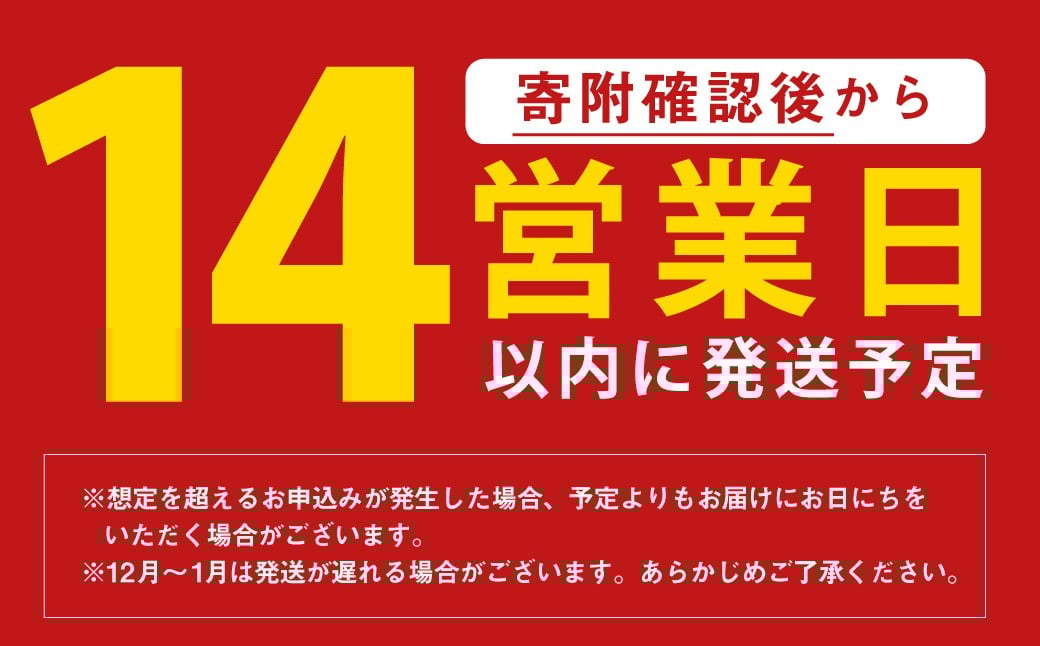 不揃い 椎茸 10袋セット