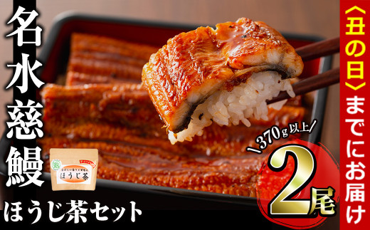 【丑の日までに配送】名水慈鰻2尾＆ほうじ茶セット 名水慈鰻(185g以上×2尾)＆ほうじ茶ティーバッグ(3g×15個) 鰻 うなぎ 蒲焼き かばやき うな重 冷凍 鰻重 お茶 ほうじ茶 焙じ茶 ティーバック パック a8-084-us