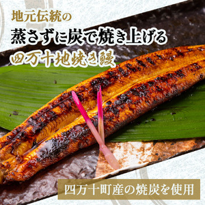 四万十地焼き鰻２尾 蒲焼＆白焼セット／Esg-20