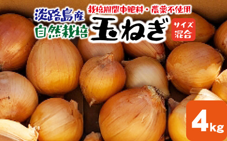 淡路島産 栽培期間中肥料・農薬不使用 自然栽培玉ねぎ 4kg ／ 玉ねぎ