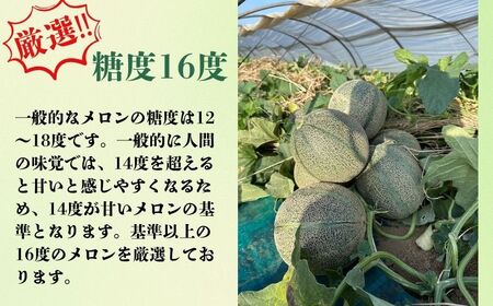 銚子産 アムスメロン  3玉(1玉約1.8〜2.0kg未満)  弥兵衛のアムスメロン メロン 糖度16度 メロン メロン