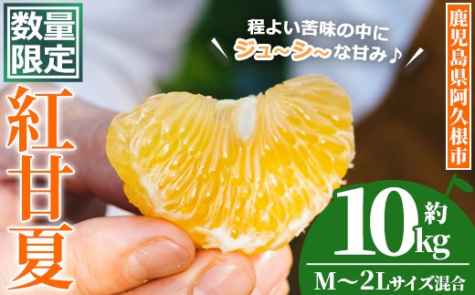 
                  ＜先行予約受付中！2027年3月上旬以降順次発送予定＞ 数量限定！鹿児島県産 紅甘夏 (約10kg・M～2L) 柑橘 フルーツ 果物 国産 みかん 期間限定 数量限定 ベニアマナツ ミカン 旬 【株式会社土曜日】akn069-15
                