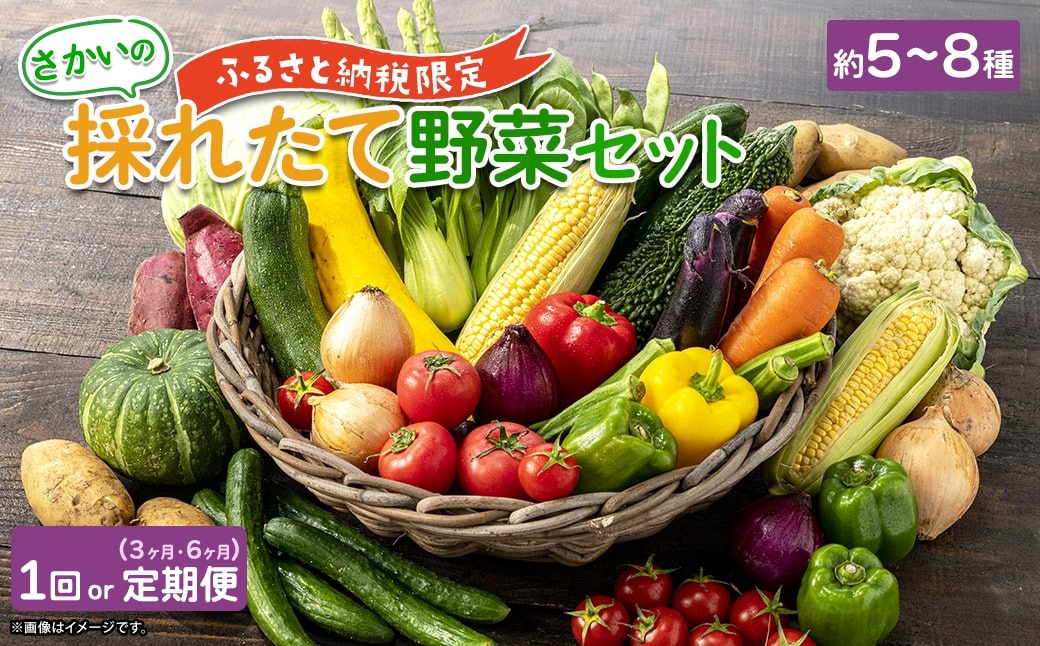 【ふるさと納税限定】さかいの採れたて野菜セット 5～8種