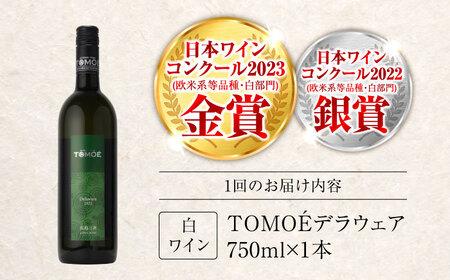 【全2回定期便】TOMOEデラウェア 白ワイン やや辛口 750ml 1本 白 ワイン 受賞 ギフト 醸造 おすすめ 三次市 / 広島三次ワイナリー[APAZ049]
