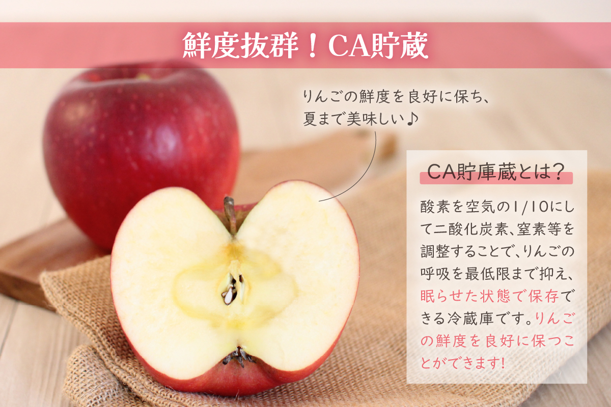 【5月後半発送 】りんご ふじ 訳あり 約 5kg 配送時期が選べる【 有袋栽培 CA貯蔵 クール便 果物類 林檎 リンゴ ふじりんご 家庭用 フルーツ 青森 五所川原 】