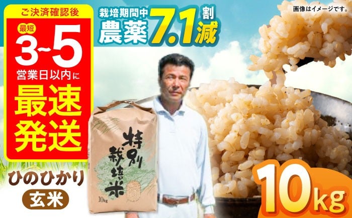 
            【R7年産】九州のこだわり「ひのひかり」玄米 10kg / 米 おこめ お米 こめ 玄米 げんまい ひのひかり ヒノヒカリ 長崎県産 / 諫早市 / 上島農産 [AHAS004]
          