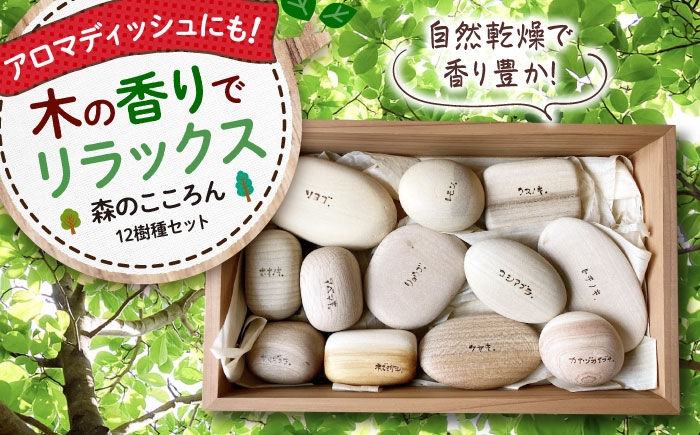 
            森のこころん12樹種セット 木製 おもちゃ 知育 玩具  ごっこ遊び 子供 三次市/一場木工所 [APAL015]
          