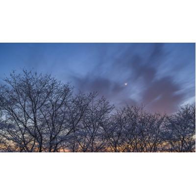 ふるさと納税 天理市 天理の風景4『 PULSE OF TIME 〜 時の鼓動 〜 』A4額装プリント