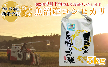 M12P232 【令和6年産 新米予約】《数量限定》令和6年産 魚沼産コシヒカリ5kg 精米（宮内農園）早期受付 2024年9月下旬頃から発送開始 白米 魚沼 米