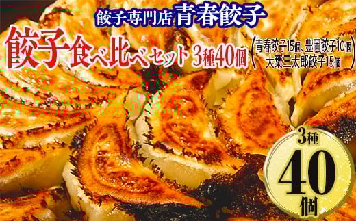 
            餃子専門店青春餃子 餃子食べ比べセット 3種40個（青春餃子15個、豊岡餃子10個、大葉三太郎餃子15個）
          