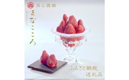 ＼ 期間限定 特別寄附額 ／  まなこころ・冷凍いちご とちおとめ 1kg 1袋 |  いちご イチゴ 苺 大容量 おやつ デザート 冷凍果物 あまい 真心農園 フレッシュ 高品質 ギフト プレゼント