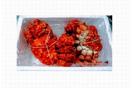 [12月21日決済分まで年内配送]【北海道根室産】花咲ガニ450～600g×2尾 A-57038