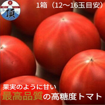 【ふるさと納税】高糖度トマト「アメーラ」1箱 | 野菜 トマト 甘み 静岡産 通年 やさい 食品 人気 おすすめ 送料無料