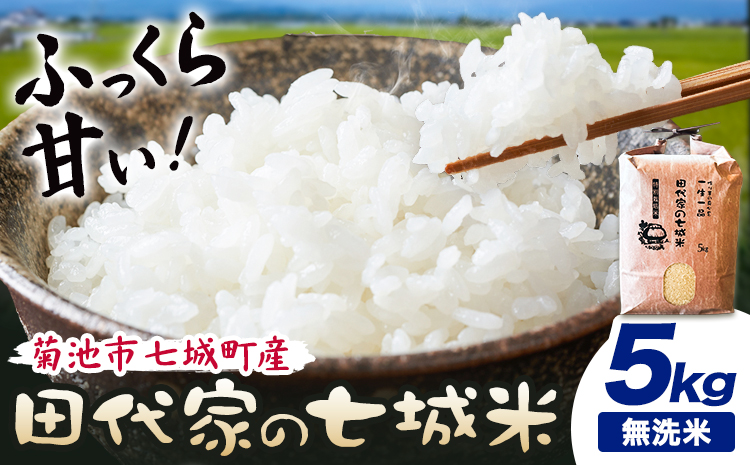 令和7年産 菊池市七城町産 田代家の七城米 七城ヒノヒカリ無洗米 5kg 田代こめや《30日以内に出荷予定(土日祝除く)》熊本県 菊池市 米 お米 精米 ひのひかり 菊池市産 熊本県産 九州産 送料無