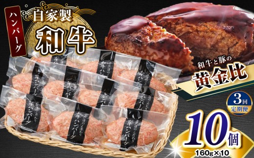 【定期便3回】自家製和牛ハンバーグ（生・冷凍個別真空）10個セット  | 牛肉 牛 肉 にく 和牛 かずさ和牛 国産 ハンバーグ 新鮮 オススメ 千葉県 君津市 きみつ