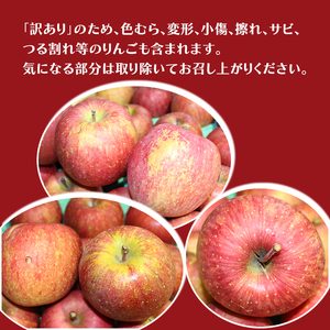 【平均糖度13度以上】11月～12月発送 家庭用 訳あり サンふじ 約 3kg りんご リンゴ 林檎 果物 フルーツ わけあり 青森