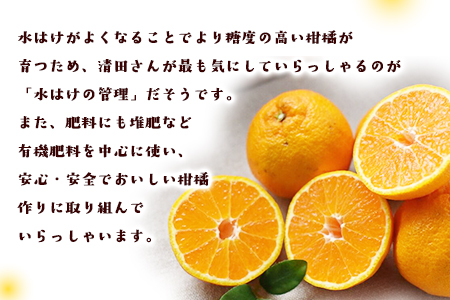『清晃アグリ』の不知火(しらぬい)約4kg(L-4Lサイズ)10玉-16玉前後 《3月上旬-3月末頃出荷》予約受付中 フルーツ 旬★あのデコポンと同品種★ 熊本県玉名郡玉東町