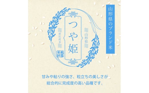 令和7年産 つや姫 5kg×2 計10kg 精米 【最上ノ米蔵】 山形県産 特別栽培米 こめ お米 米 白米 F3S-2563