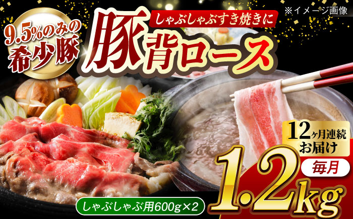 
            【月1回約1.2kg×12回定期便】大西海SPF豚 背ロース（しゃぶしゃぶ用）計約14.4kg 長崎県/長崎県農協直販 [42ZZAA079]
          