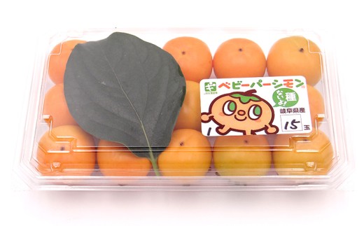【各種メディア掲載】 令和8年産 2パック ベビーパーシモン たねなし 皮ごと 小さな柿 ベビーパーシモン 8〜15玉入 9月中旬〜10月下旬に配送 [mt2249]｜かき 果物 フルーツ カキ 果物 くだもの 産地直送 岐阜県 本巣市 全農ぎふ