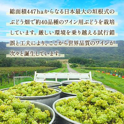 ふるさと納税 浦臼町 鶴沼収穫ワイン【スペシャルキュヴェ　ピノ・ブラン】白ワイン 2020年産 |  | 02