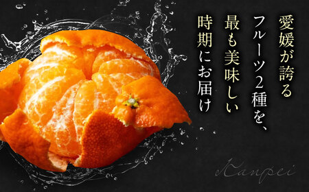 甘平【2026年2月上旬から順次発送】甘平 3kg（ 2L-4L）[AGAO010]