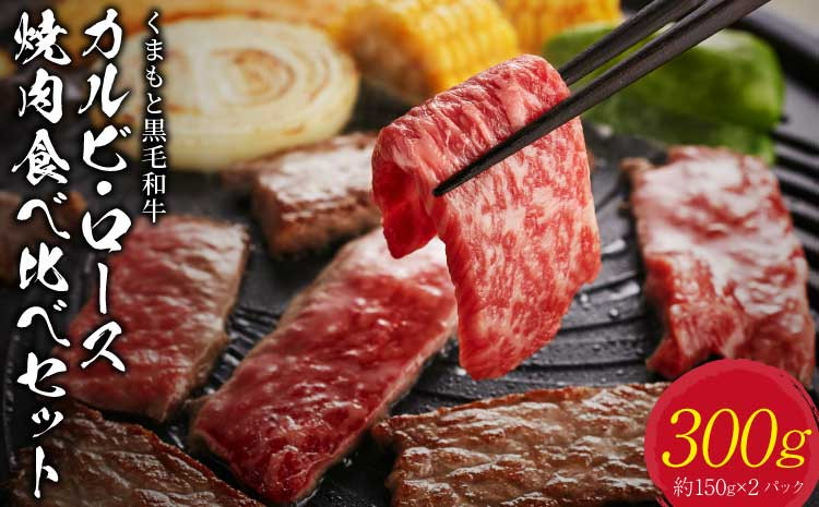 
            くまもと黒毛和牛 カルビ・ロース焼肉食べ比べセット 計300g 各約150g ふじ匠オリジナル 焼肉のタレ 200ml×1本 黒毛和牛 和牛 牛肉 肉 お肉 カルビ ロース 焼き肉 焼肉 タレ付き 熊本県 宇城市
          