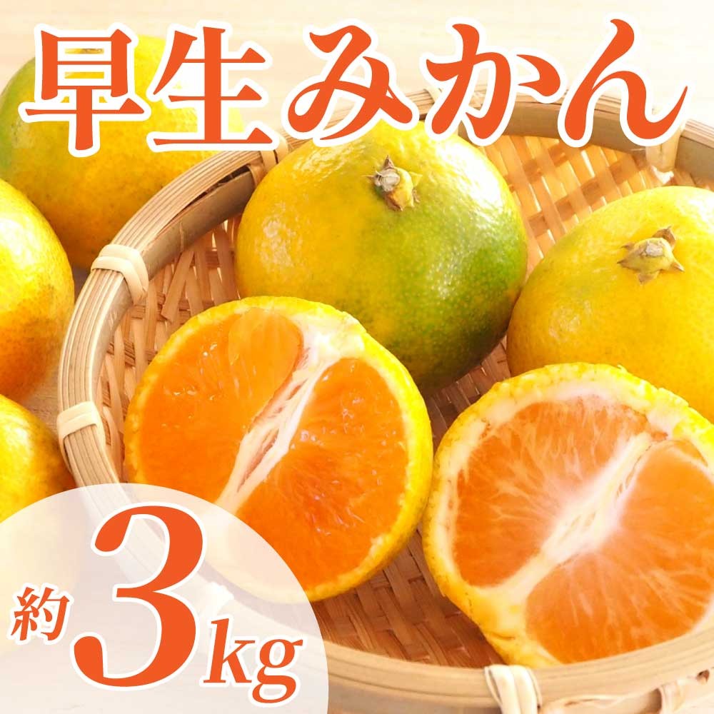 
                  先行予約 早生みかん 選べる容量 約3kg 約5kg 約10kg 【2026年11月上旬～2026年11月下旬配送予定】 みかん ミカン 早生みかん フルーツ 果物 柑橘 かんきつ蜜柑 熊本県 熊本 九州 宇城市 国産 高糖度 甘い ジューシー みずみずしい 果汁 酸味 日本フルーツ
                