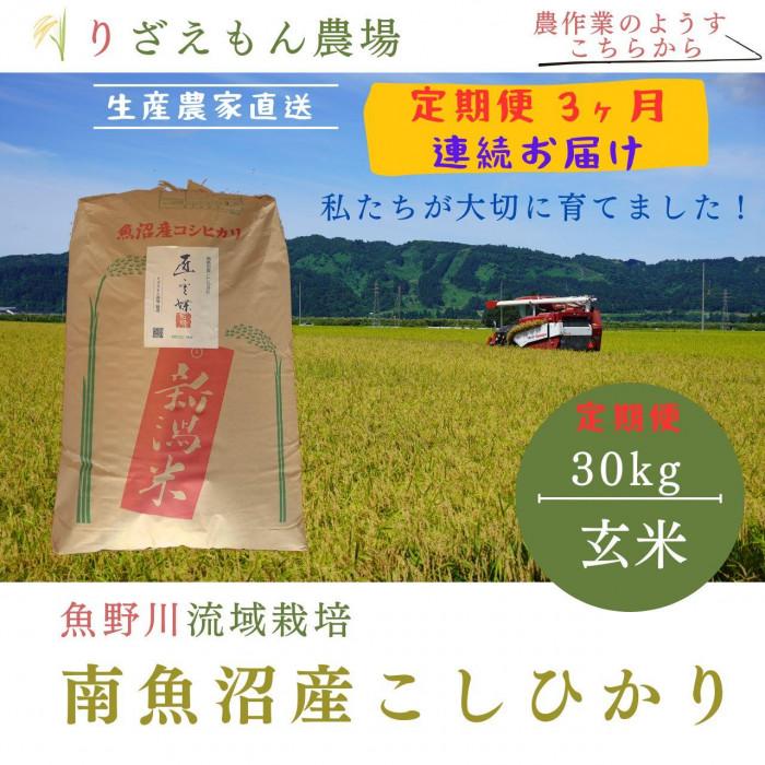 【ふるさと納税】《新米予約受付》【定期便3回×玄米30kg《合計90kg》】令和7年産　南魚沼産コシヒカリ　玄米 30kg　＼生産農家直送／【2025年10月上旬より順次発送予定】 | お米 こめ 食品 コシヒカリ こしひかり 南魚沼